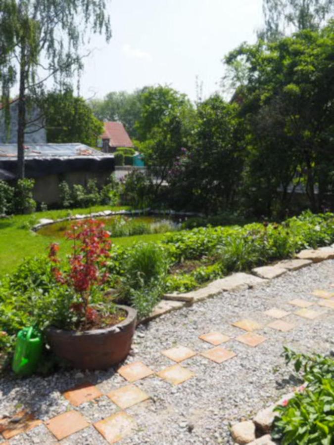 Schöne Gemütliche Mit Kamin Im Harz Ii Apartment
