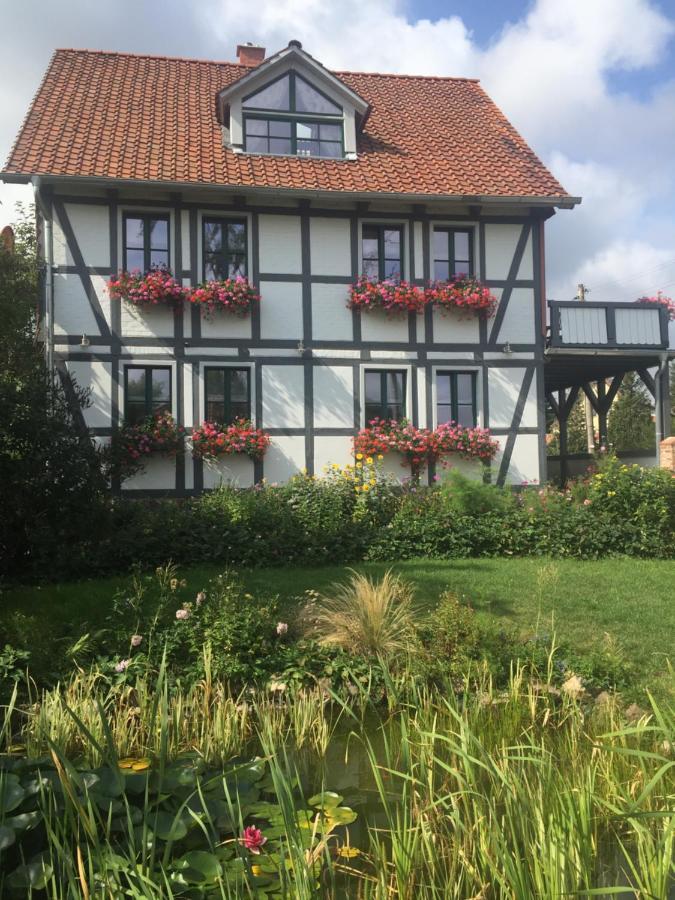 Schöne Gemütliche Mit Kamin Im Harz Ii *